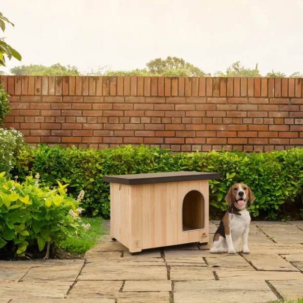 Wooden Dog Kennel