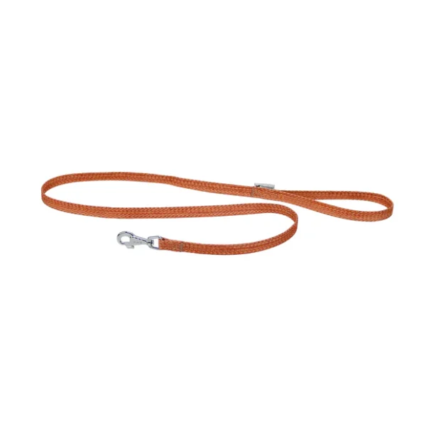 Recycled Leash