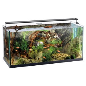 Aquarium Set