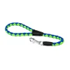 Short leash