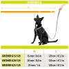Recycled Leash