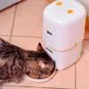 Pet Feeder