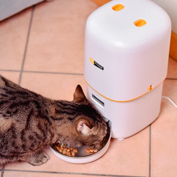 Pet Feeder