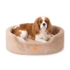 Sofa-style bed