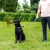 Short leash