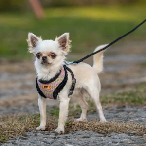 Furred Harness