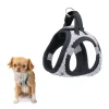 4-0190032739_6d2f703f-b14f-4593-acf5-8004a4feff62_x620 Dog Harness