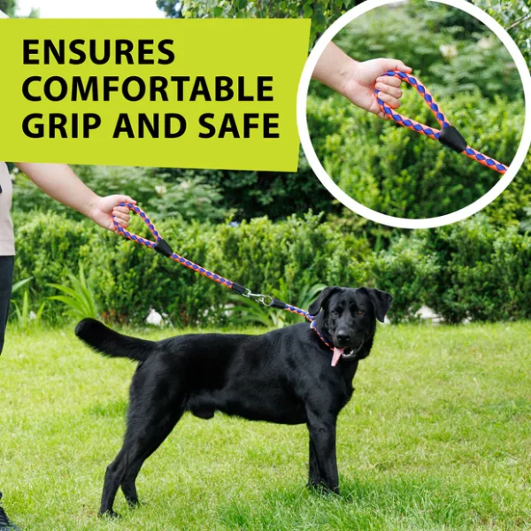Short leash